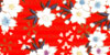Click for closer look! NH332